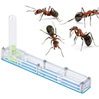Los mejores  - Pssopp Ant House - Caja de exposición para Hormigas (acrílico)- Color Transparente